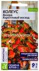 семена Колеус многолетник Визард Коралловый восход 5 шт цветной пакет годен до 31.12.2029 (Семена Алтая)