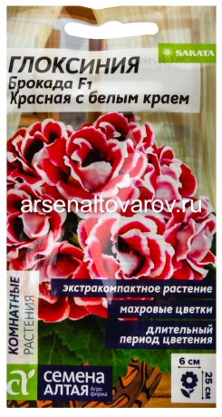 семена Глоксиния многолетник Брокада F1 красная с белым краем (серия Саката) 5 шт цветной пакет годен до 31.12.2028 (Семена Алтая)