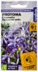 Семена Изотома однолетник Старшайн Звездное небо 3 шт цветной пакет годен до 31.12.2028 (Семена Алтая) 