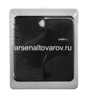 выключатель двухклавишный открытая проводка Велена 10 А серый графит (PSW10-121-54) 32753 (КНР)