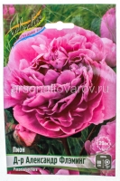 Пион махровый Д-Р Александр Флэминг (в пакете 1 шт) корневищные (Голландия)