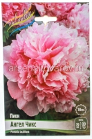 Пион махровый Ангел Чикс (в пакете 1 шт) корневищные (Голландия)