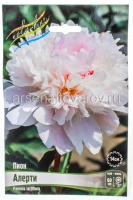 Пион махровый Алерти (в пакете 1 шт) корневищные (Голландия)