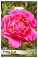 Пион махровый Бункер Хилл (в пакете 1 шт) корневищные (Голландия)