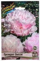 Пион махровый Президент Вилсон (в пакете 1 шт) корневищные (Голландия)