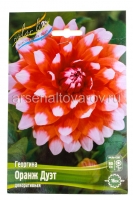 Георгина декоративная Оранж Дуэт (в пакете 1 шт) клубневые (Голландия)