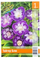 Глоксиния Тайгер Блю (в пакете 1 шт) клубневые (Голландия)