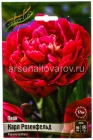 пион махровый Карл Розенфельд (в пакете 1 шт) корневищные (Голландия)