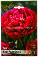 Пион махровый Карл Розенфельд (в пакете 1 шт) корневищные (Голландия)