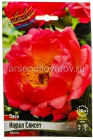 Пион полумахровый Корал Сансет 2/3 (в пакете 1 шт) корневищные (Голландия)