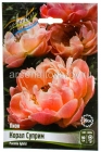 пион полумахровый Корал Суприм 2/3 (в пакете 1 шт) корневищные (Голландия)
