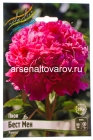 пион махровый Бест мен (в пакете 1 шт) корневищные (Голландия)