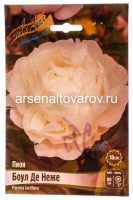Пион махровый Боул Де Неже (в пакете 1 шт) корневищные (Голландия)