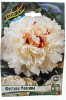 Пион махровый Фестива Максима (в пакете 1 шт) корневищные (Голландия)