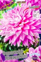 Георгина декоративная макси Фернклифф Инспирейшн (в пакете 1 шт) клубневые (Голландия)