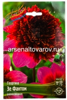 Георгина анемоновидная Зе Фантом (в пакете 1 шт) клубневые (Голландия)
