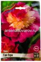 Пион махровый Гай Пэри (в пакете 1 шт) корневищные (Голландия)