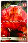 пион полумахровый Корал Шарм 3/5 (в пакете 1 шт) корневищные (Голландия)
