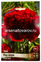 Пион махровый Ред Шарм (в пакете 1 шт) корневищные (Голландия)