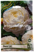 Пион махровый Эльза Сасс (в пакете 1 шт) корневищные (Голландия)