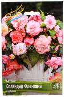 Бегония Сплендид Фламенка (в пакете 3 шт) цена за пакет клубневые (Голландия)