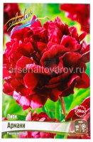 Пион махровый Армани (в пакете 1 шт) корневищные (Голландия)
