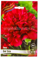 Пион махровый Биг Бен (в пакете 1 шт) корневищные (Голландия)