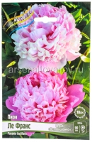 Пион махровый Ле Франс (в пакете 1 шт) корневищные (Голландия)