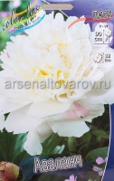 Пион махровый Аваланч (в пакете 1 шт) корневищные (Голландия)