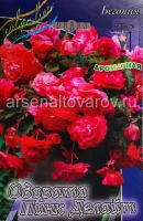 Бегония Одората Пинк Делайт (в пакете 3 шт) цена за пакет клубневые (Голландия)