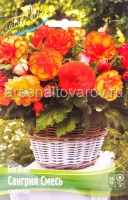 Бегония гибридная Сангрия смесь (в пакете 3 шт) цена за пакет клубневые (Голландия)