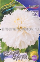 Георгина бахромчатая Майама Фубуки (в пакете 1 шт) клубневые (Голландия)
