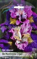 Ирис сибирский Он Малберри Стрит (в пакете 1 шт) корневищные (Голландия)