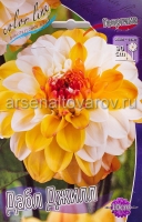 Георгина декоративная Дабл Джилл (в пакете 1 шт) клубневые (Голландия)