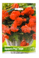 Бегония Одората Ред Глори (в пакете 3 шт) цена за пакет клубневые (Голландия)