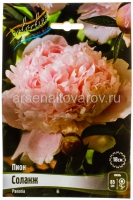 Пион махровый Соланж (в пакете 1 шт) корневищные (Голландия)
