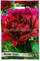 Пион махровый Феликс Краусс (в пакете 1 шт) корневищные (Голландия)