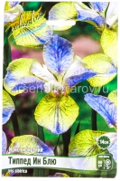 Ирис сибирский Типпед Ин Блю (в пакете 1 шт) корневищные (Голландия)