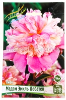 Пион махровый Мадам Эмиль Дебатен (в пакете 1 шт) корневищные (Голландия)