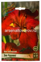 Ирис луизианский Энн Чаунинг (в пакете 1 шт) корневищные (Голландия)