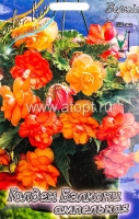Бегония Ампельная Голден Бэлкони (в пакете 3 шт) цена за пакет клубневые (Голландия)