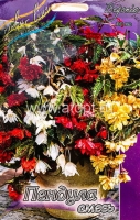 Бегония Пендула смесь (в пакете 3 шт) цена за пакет клубневые (Голландия)