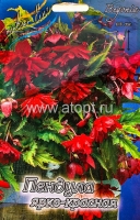 Бегония Пендула ярко-красная (в пакете 3 шт) цена за пакет клубневые (Голландия)