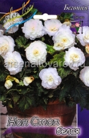 Бегония Нон Стоп белая (в пакете 3 шт) цена за пакет клубневые (Голландия)