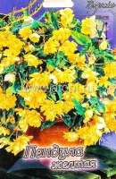 Бегония Пендула желтая (в пакете 3 шт) цена за пакет клубневые (Голландия)