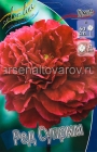 пион махровый Ред Суприм (в пакете 1 шт) корневищные (Голландия)