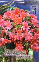 Бегония Пендула розовая (в пакете 3 шт) цена за пакет клубневые (Голландия)