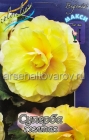 бегония Суперба желтая (в пакете 3 шт) цена за пакет клубневые (Голландия)
