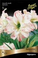 Амариллис махровый Афродита (в пакете 1 шт) луковичные (Голландия)
