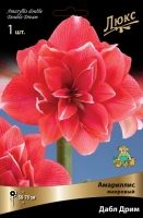 Амариллис махровый Дабл Дрим (в пакете 1 шт) луковичные (Голландия)